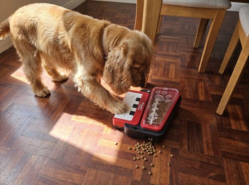 🎹 Interactive Piano Treat Feeder – Turn Snack Time Into Playtime