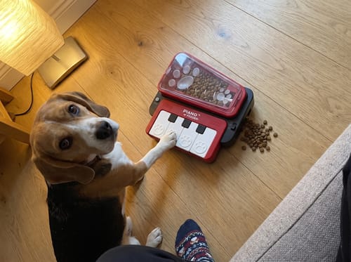 🎹 Interactive Piano Treat Feeder – Turn Snack Time Into Playtime